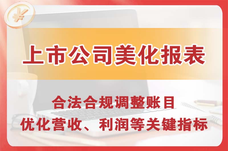 雷州上市公司美化报表